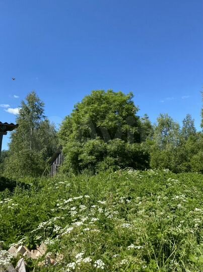 Участок 15 сот. (ИЖС)