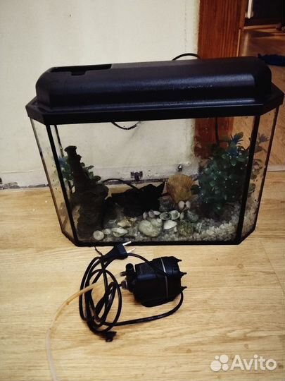 Аквариум с фильтром