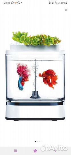 Аквариум Акваферма