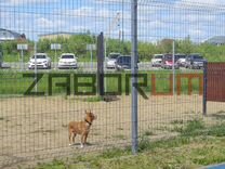 Ограждение площадок для собак в Краснознаменске