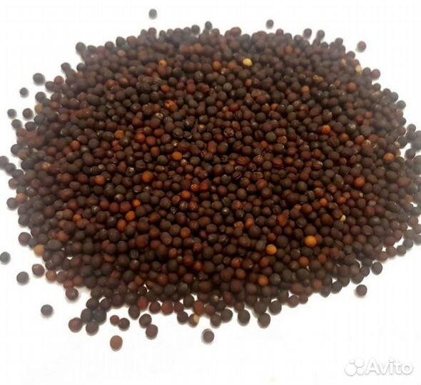 Семена для микрозелени