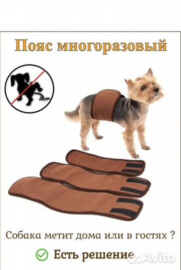 Пояс кобелю