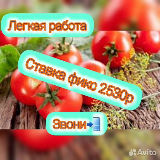 Овощевод Работа Вахта проезд+питание+проживание