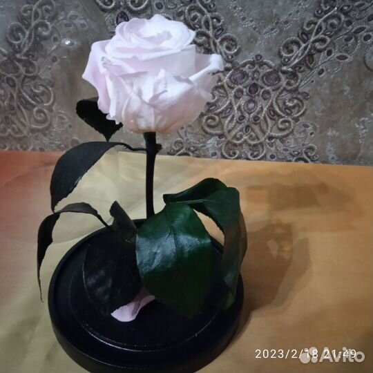 Вечная роза в колбе