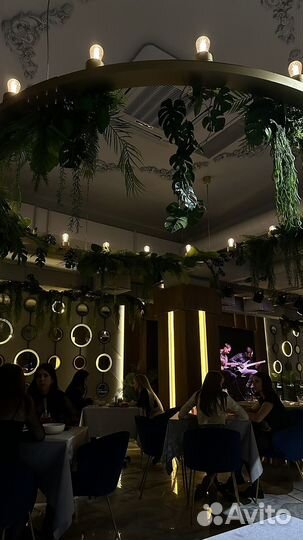 Мобилограф