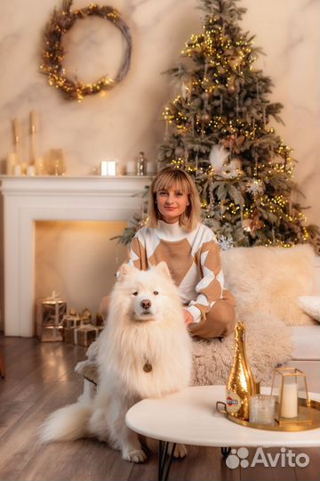 Фотосессия с самоедом