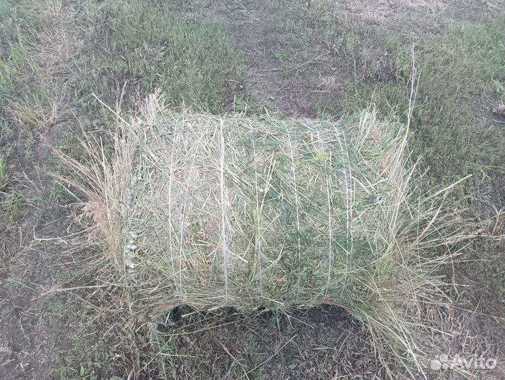 Продам сено в рулонах