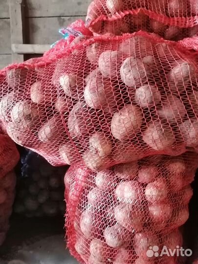 Продам картофель едовой