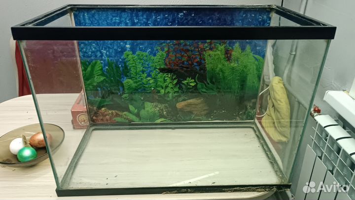 Аквариум