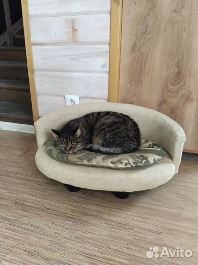 Диван-лежанка для животных,60х40