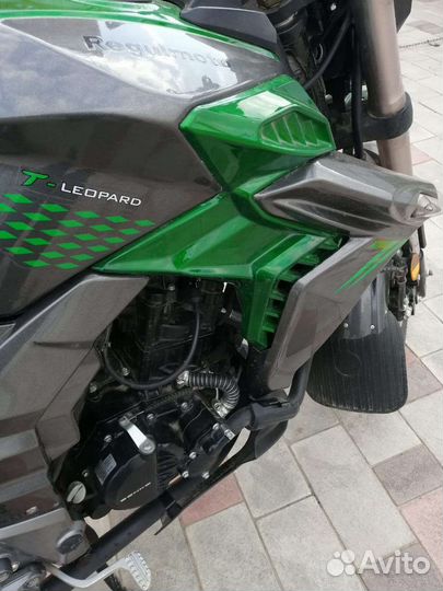 Regulmoto T-Leopard 300