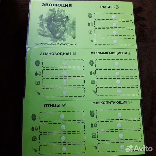 Игра по биологии 