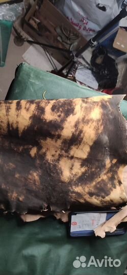 Еврейские книги и предметы коллекционирования