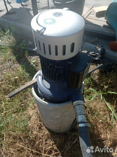 Насос для полива. Leo