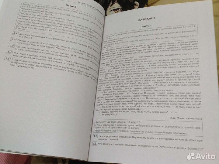 Огэ по литературе Е.А.Самойлова 25 вариантов