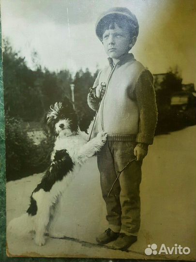 Фотокартина мальчик с собакой., 1920г. 45 -60см