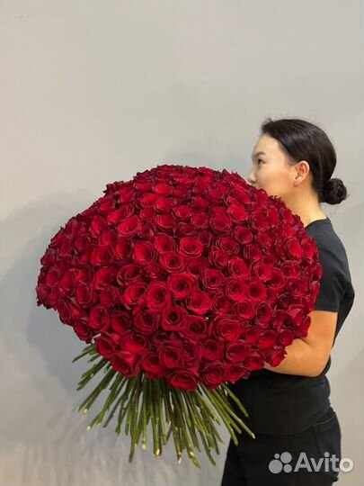 Красные розы 175 шт