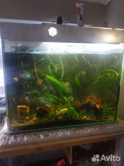 Аквариум 200л