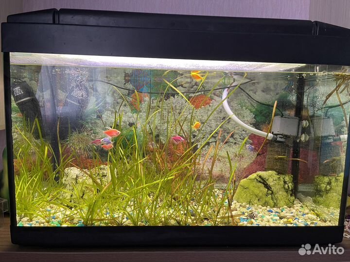 Аквариум