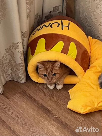 Домик для кошки