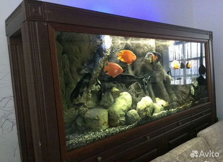 Эксклюзивный аквариум