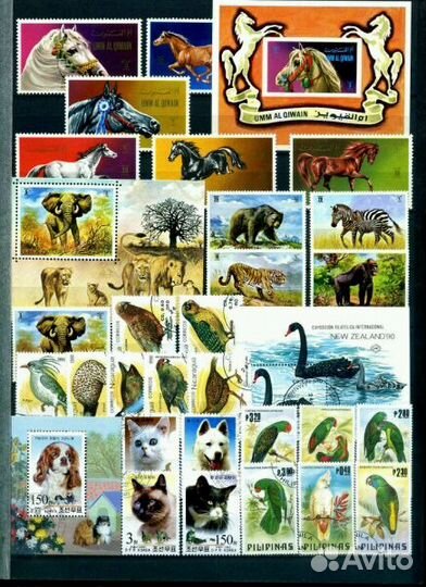 Фауна-часть 11(И марки по другим темам.)