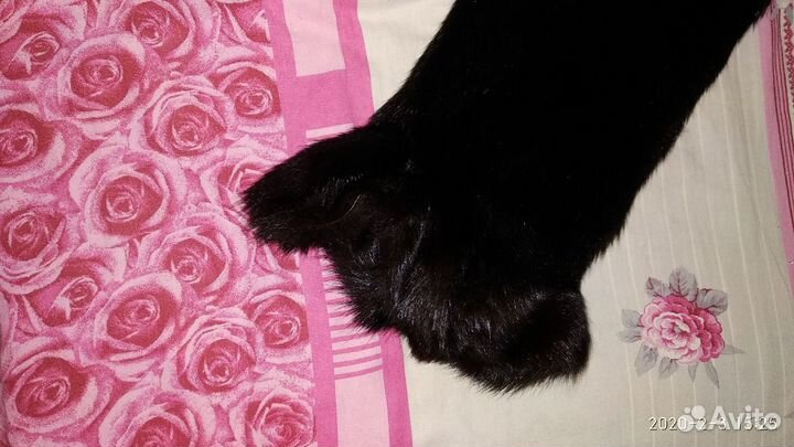 Шуба норковая