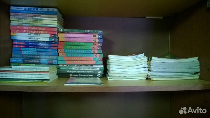 Учебники по русскому языку и литературе