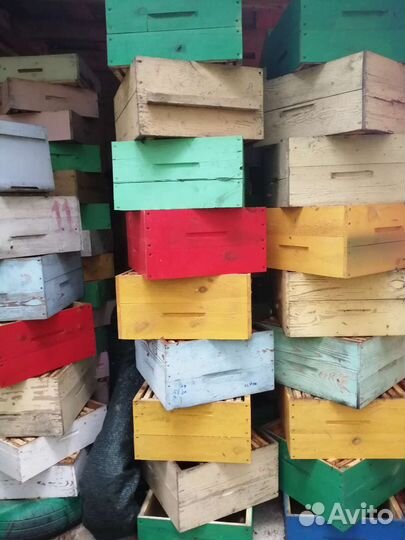 Мед липовый 2024 года доставка бесплатно