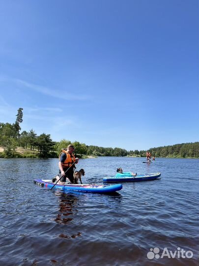 Прокат sup борд Куровское Сплавы, корпоративы