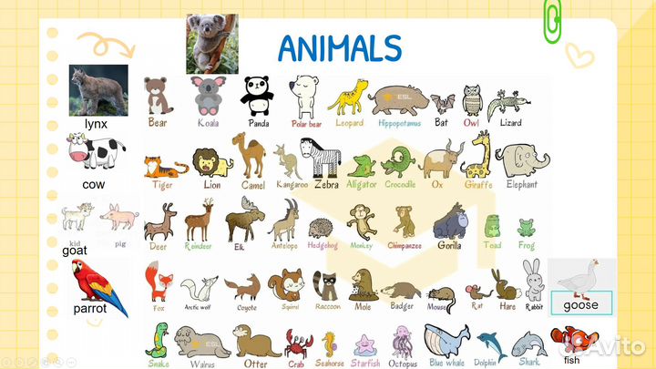 Английский язык на лето