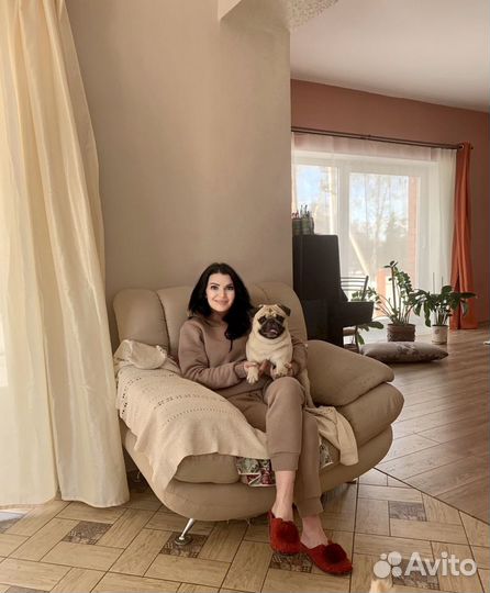 Вязка мопс (нужна девочка)