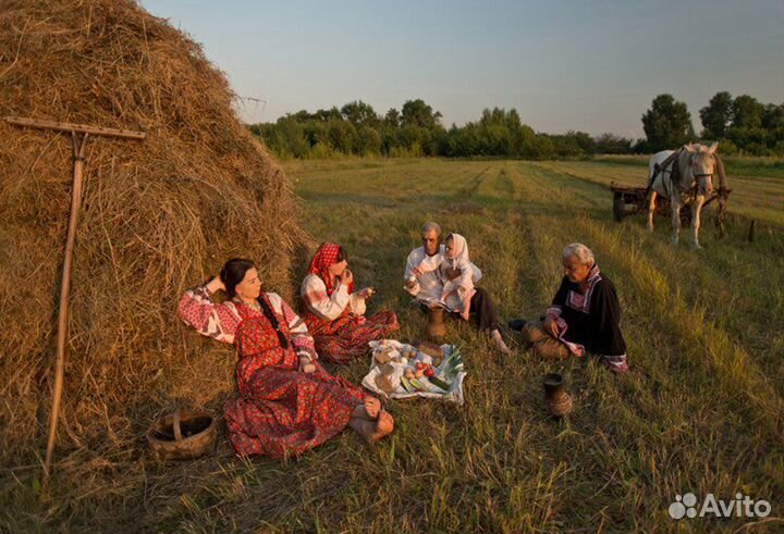 Сено трава свежая сушеная прессованная