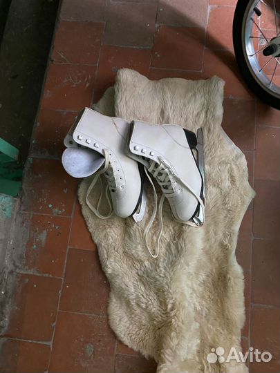 Коньки фигурные