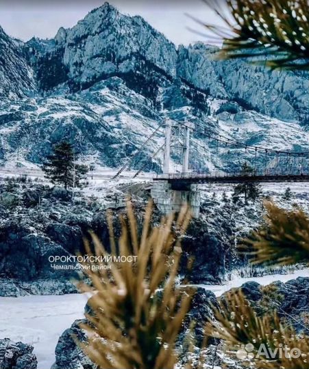 Турпутевка Алтай зимний экспедиции 5-9 дн