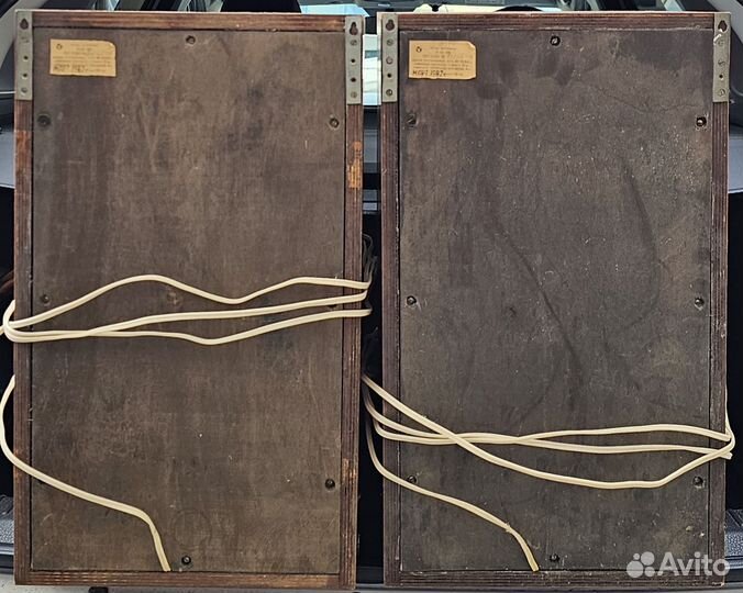 Акустические колонки 25ас-109