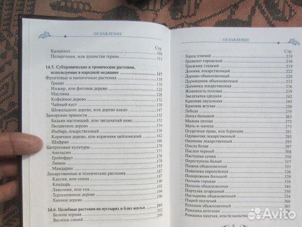А.И. Соколова. Царский каприз. 1993 год