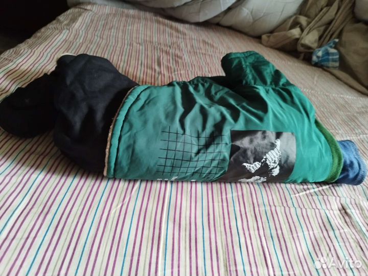 Одежда для собак