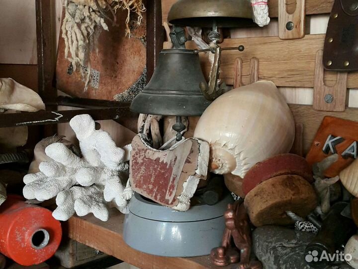 Рында лангуст корал ракушка