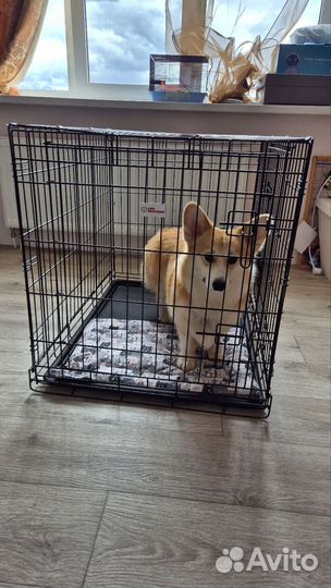 Вольер для собак