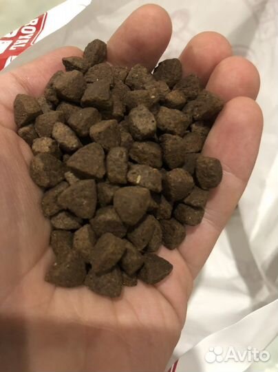 Сухой корм для собак и кошек