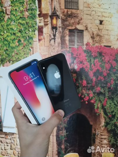 iPhone X, 256 ГБ