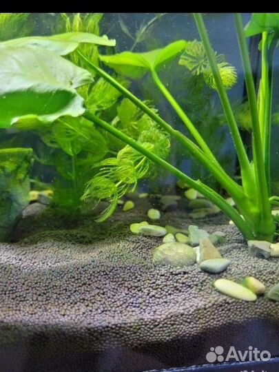 Пропант, грунт 7 кг