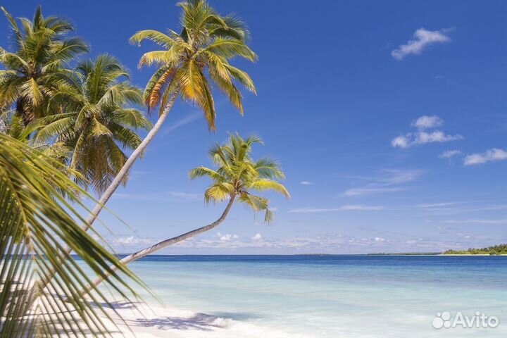 Туры на Мальдивы