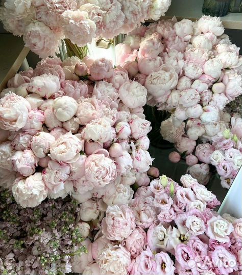 Букет пионов с беспл. доставкой