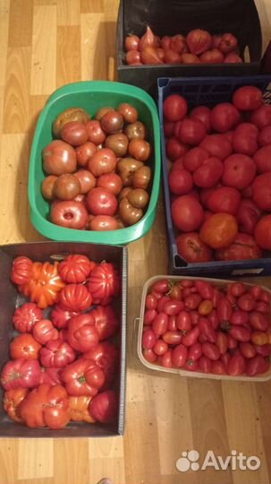 Овощи без химии и удобрений