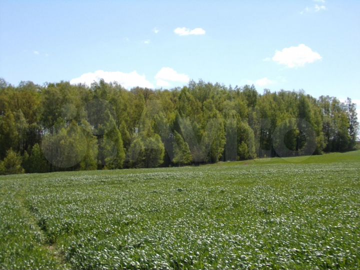 Участок 10 сот. (ИЖС)