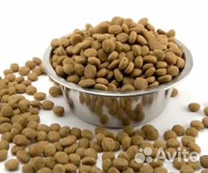 ProPlan, Royal Canin, Gemon Monge Зооринг Фармина