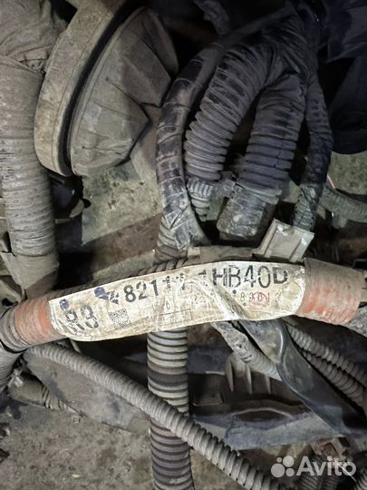 Коса подкапотная Toyota Corolla E150