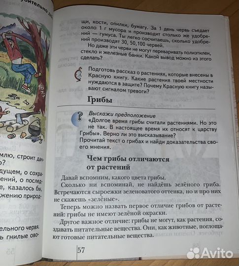 Окружающий мир 3 класс